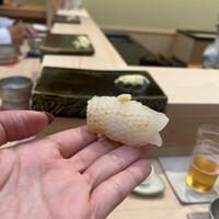 匠 鮨 おわな - アオリイカ