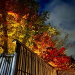 イチリン ハナレ - 外観　紅葉が綺麗