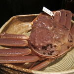 三代豊国 - 生きた松葉蟹