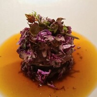 アニエルドール - ⑩尾長鴨(鹿児島産)の紫白菜ロール、紫白菜載せ、尾長鴨のコンソメスープ掛け
                    尾長鴨は鳥らしくアッサリしつつも濃い肉の味わいがあり、ロール紫白菜も美味しかった
                    見た目も華やかで良い感じでした
