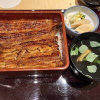 赤坂ふきぬき - 鰻重 松