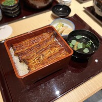 赤坂ふきぬき - 鰻重 松