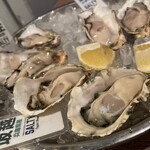 ソルティー・オイスター・ハウス 津田沼店 - 