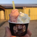 GELATAIO DEL FILO - 