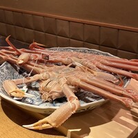 弧玖 - 