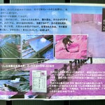 しろくろとりこ。 - 