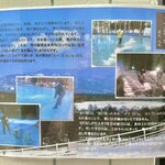 しろくろとりこ。 - 