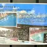 しろくろとりこ。 - 