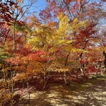 Saya Soyo - 小林円の園内