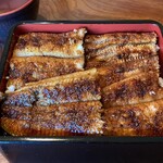 Aikou Unagi - 