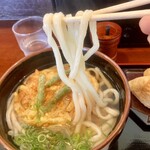 春の家うどん - ツルシコ麺。