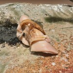 千葉たかおか - 蛤