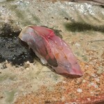 千葉たかおか - 鯵