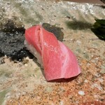 千葉たかおか - 大トロ