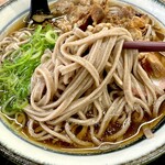 Kamigousabisueriakudarisenfudokoto - 蕎麦/牛肉そば　830円