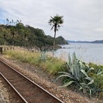 道の駅　かわうその里すさき - 