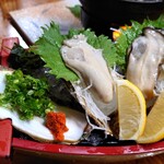 居魚屋　網元 - 