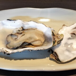 Oyster Garage 389_1