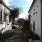 カフェ・ラ・ファミーユ - こっちも庭