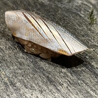 鮨 みつよし - 