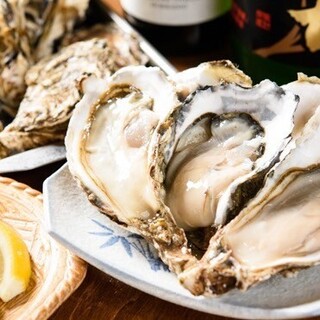 北海道厚岸直送！生牡蠣1個300円→24時まで199円！