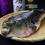 Katsugyo Izakaya Marufuku - 