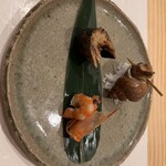 小石川 仲ざと - 