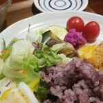 キッチン ブルー グローブ - サラダ、備え付け野菜