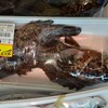 サンショップ - 