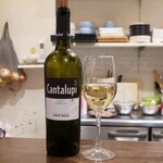 トリワイン ＰＩＫＯＳＨＨＨＵ - カンタルピ サレント ビアンコ