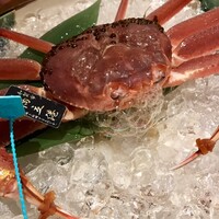 山中温泉　花紫 - 