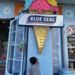 BLUE SEAL - 