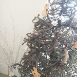 喫茶 tameiki - 店内のシンプルなツリー❄︎❅*.*↟⍋*↟