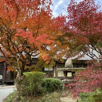 レストラン 翠葉 - 