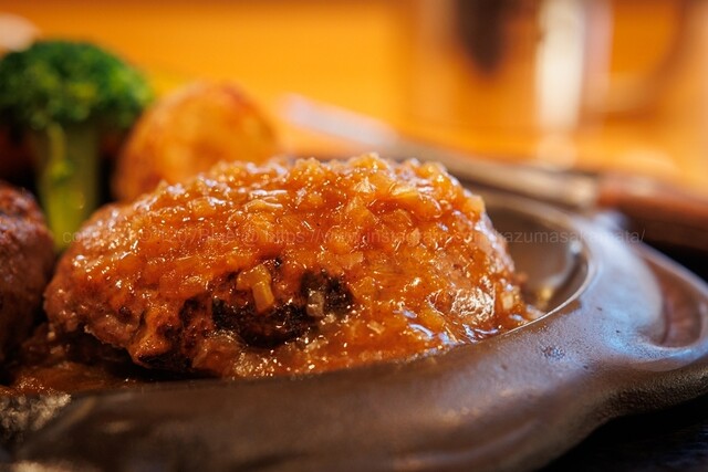 【Fujieda Sana】 Amazon.com: Sunnydaze Pop-Up Canopy Replacement Top - 12x12