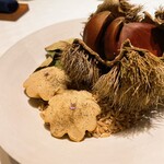 デルフィーナ - 