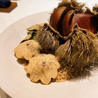 デルフィーナ - 