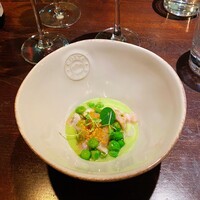 セルサルサーレ - 