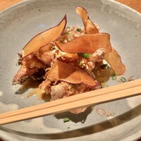 SHIKAKU - 