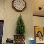 大元 - 糸杉新規加入^_^。