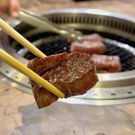 きわめ - カイノミ