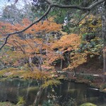 Surugaya - 参考.成田山公園の紅葉は終わりかけてました