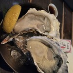 OYSTER BAR 酒肆石花 - 