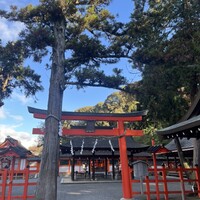 SCALAE - 