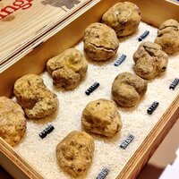 マルゴット エ バッチャーレ - 