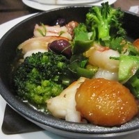 ダルマット 六本木ヒルズ店 - 