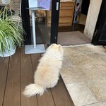 コズミックパラソルカフェ - 