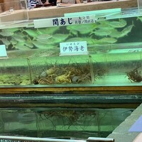 博多料亭 稚加榮 - 