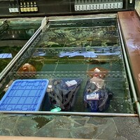 博多料亭 稚加榮 - 