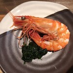 鴨出汁中華蕎麦 麺屋yoshiki - 海老と鴨の手揉み味噌そば